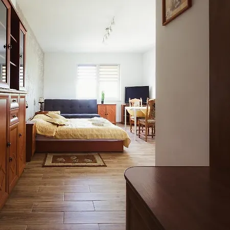 Komfortowe U Nicole Apartment *